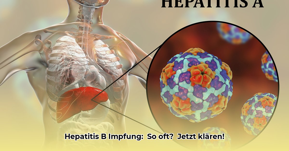 hepatitis-b-impfung-wie-oft
